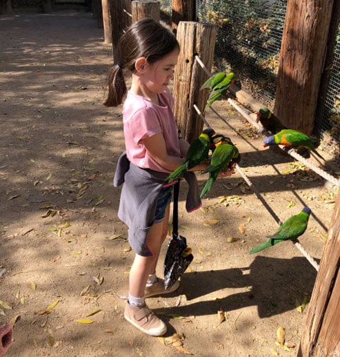 Girl with parrots on field trip